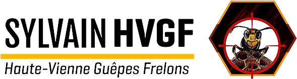 Sylvain HVGF